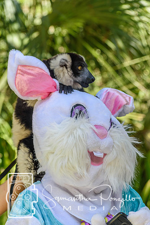 SPM.siestakey2023easteregghunt-308