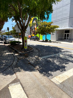 SPM.swirlypainteratwork.52125-1