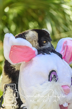 SPM.siestakey2023easteregghunt-307