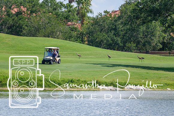 SPM.siestakeychamber23golftournament-103