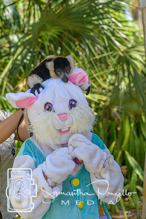 SPM.siestakey2023easteregghunt-303