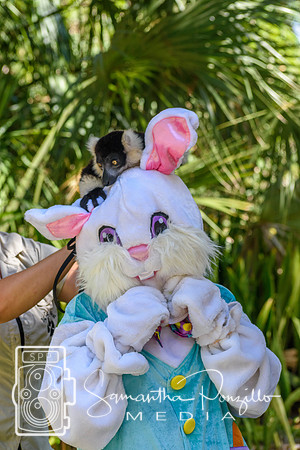 SPM.siestakey2023easteregghunt-304