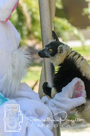 SPM.siestakey2023easteregghunt-314