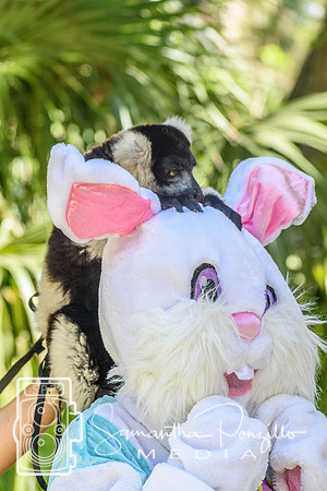 SPM.siestakey2023easteregghunt-306