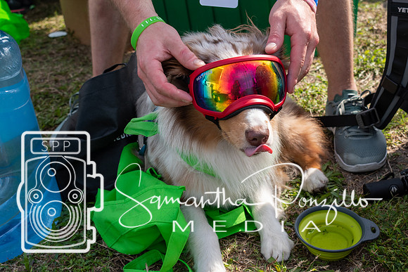 4-24 420Fest SRQ