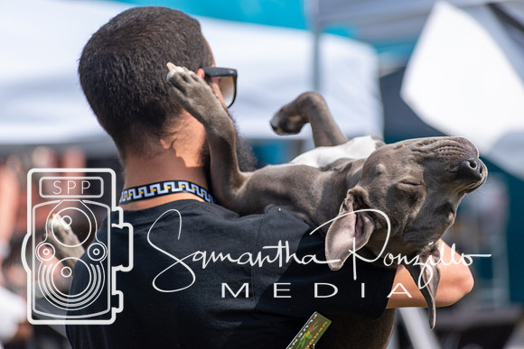 4-24 420Fest SRQ