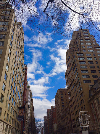 Swallowed Sky