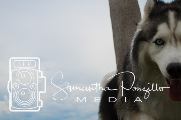Zeus Pet Portrait