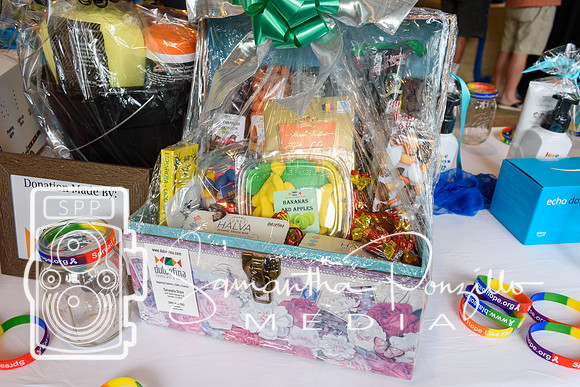 Blaze of Hope Launch Party
