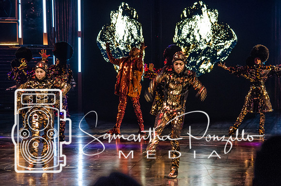 Cirque du Soleil Volta