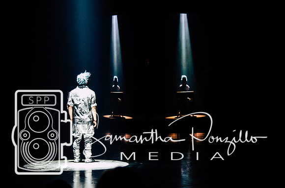Cirque du Soleil Volta