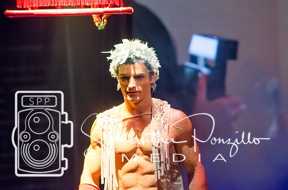 Cirque du Soleil Volta
