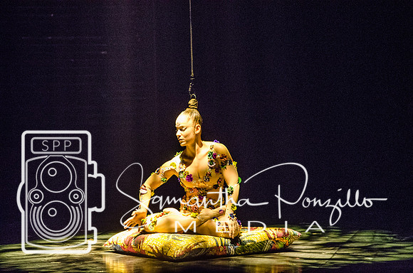Cirque du Soleil Volta