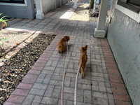 6-9 Day with Honey & Lovey