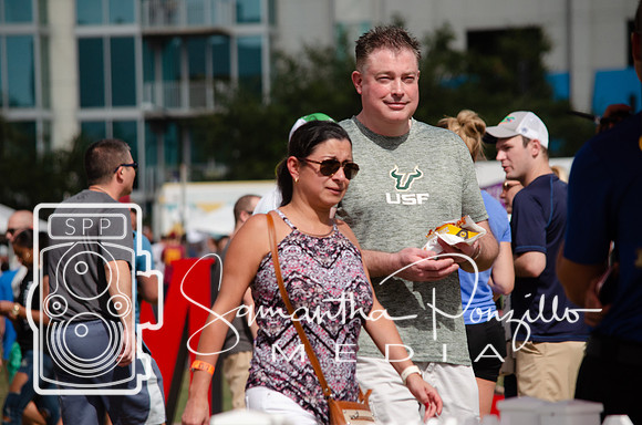Tampa Bay Chicken Wing Fling