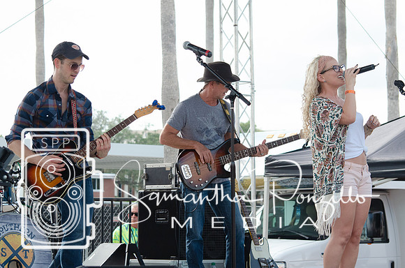 Tampa Bay Chicken Wing Fling