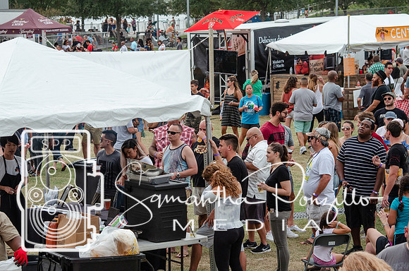 Tampa Bay Chicken Wing Fling