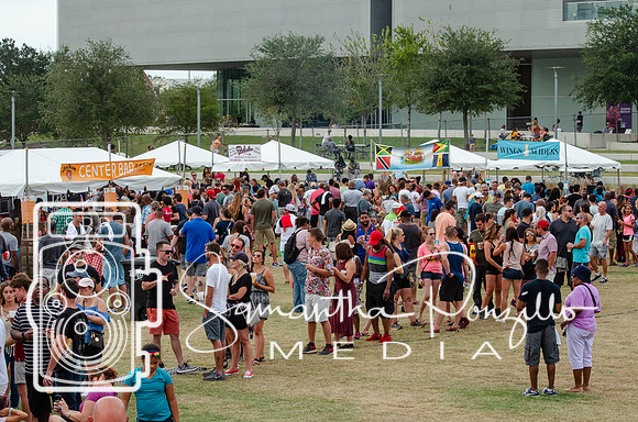 Tampa Bay Chicken Wing Fling