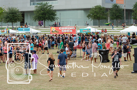 Tampa Bay Chicken Wing Fling