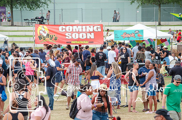 Tampa Bay Chicken Wing Fling
