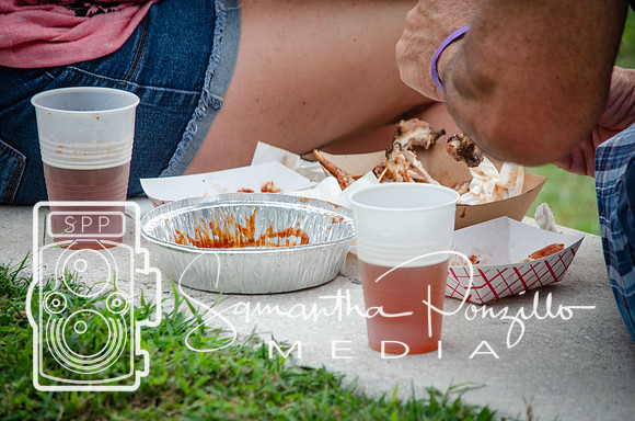 Tampa Bay Chicken Wing Fling