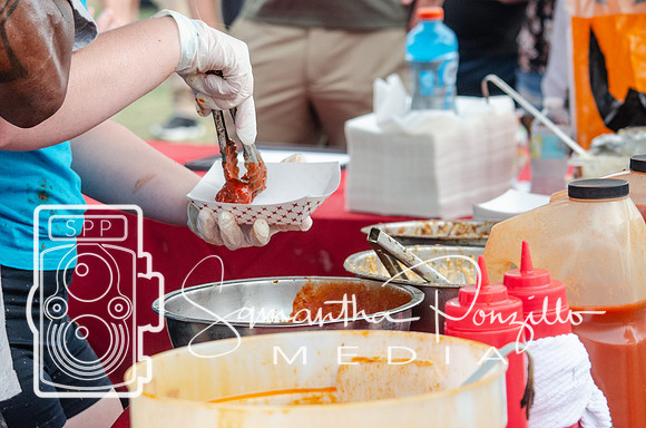 Tampa Bay Chicken Wing Fling