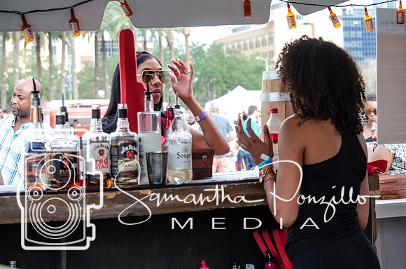 Tampa Bay Chicken Wing Fling