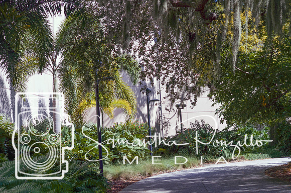 Ringling Museum
