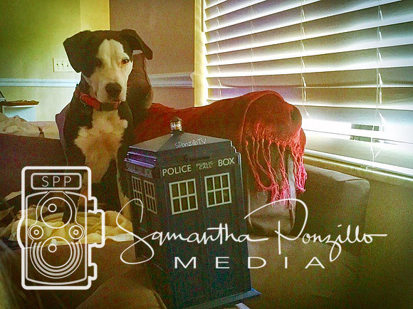 #FMSPhotoADay