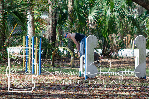 Day with River at the Dog Park