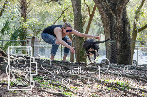 Day with River at the Dog Park