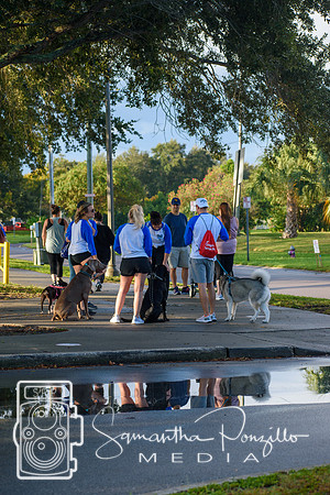 AFSP Out of the Darkness St Pete Walk 2021