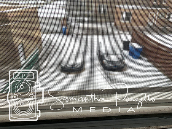 Chicago Trip in Winter
