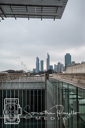 Chicago Trip in Winter