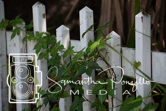 Downtown SRQ #SamanthaStrollSeries