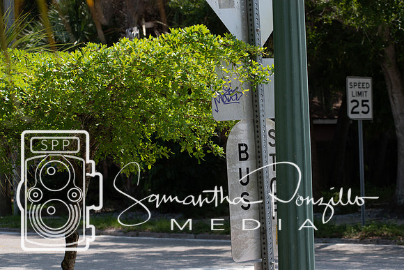 Downtown SRQ #SamanthaStrollSeries