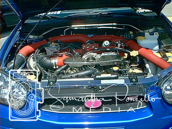 2004 Siena College Car Show 10