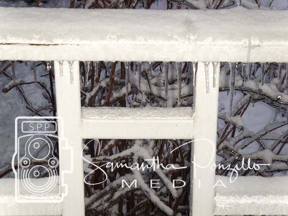 Ice Storm 12-14-08