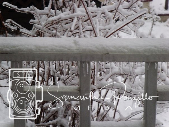 Ice Storm 12-14-08