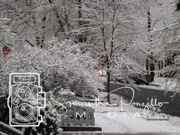 Ice Storm 12-14-08