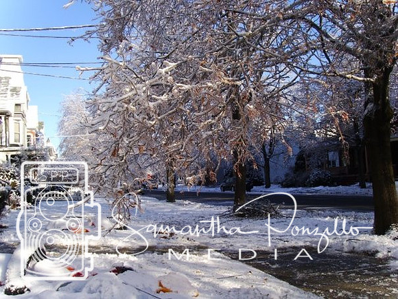 Ice Storm 12-14-08