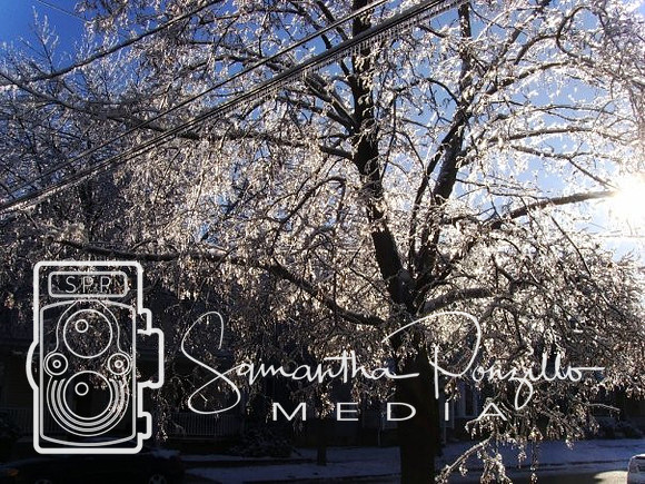 Ice Storm 12-14-08