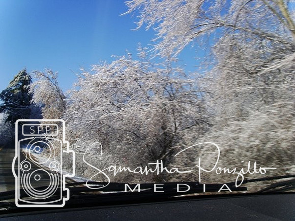 Ice Storm 12-14-08