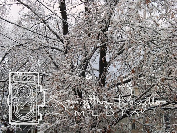 Ice Storm 12-14-08