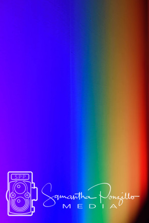 SPM.tampabayprideband.youbettersleigh-7