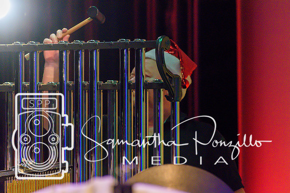 SPM.tampabayprideband.youbettersleigh-13