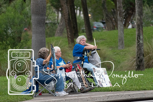 Lights for Liberty: Sarasota