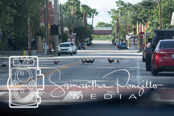 Ybor City #SamanthaStrollSeries