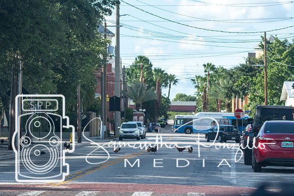 Ybor City #SamanthaStrollSeries