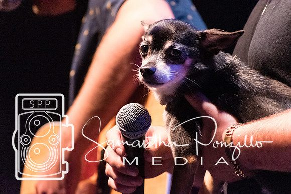 The Revival Tour St Pete